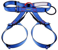 Load image into Gallery viewer, PRO Climbing Harness