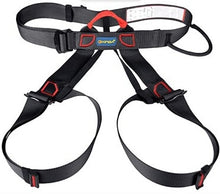Load image into Gallery viewer, PRO Climbing Harness